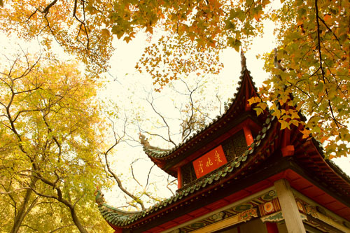 &#20048;&#40060;&#39029;&#38754;&#22312;&#32447;&#30331;&#24405;&#45;&#20048;&#40060;&#40;&#20013;&#22269;&#41;